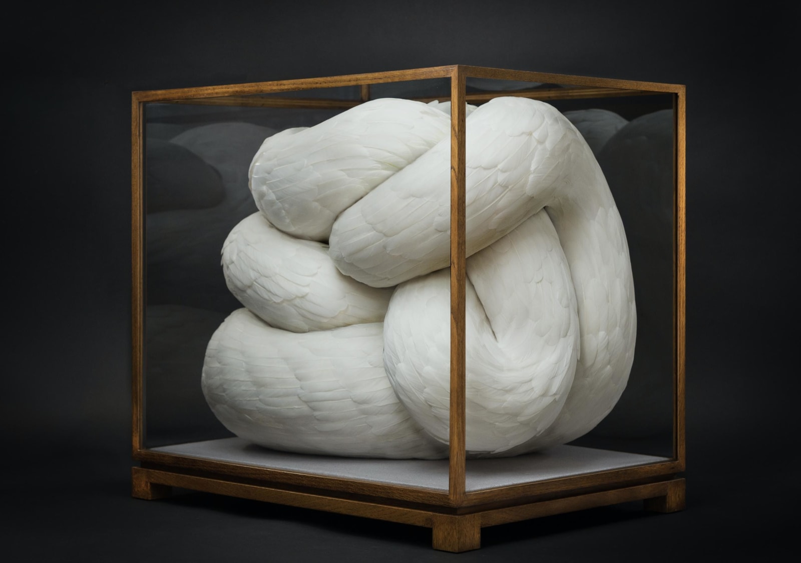 Kate MccGwire, CARESS/COERCE, 2021