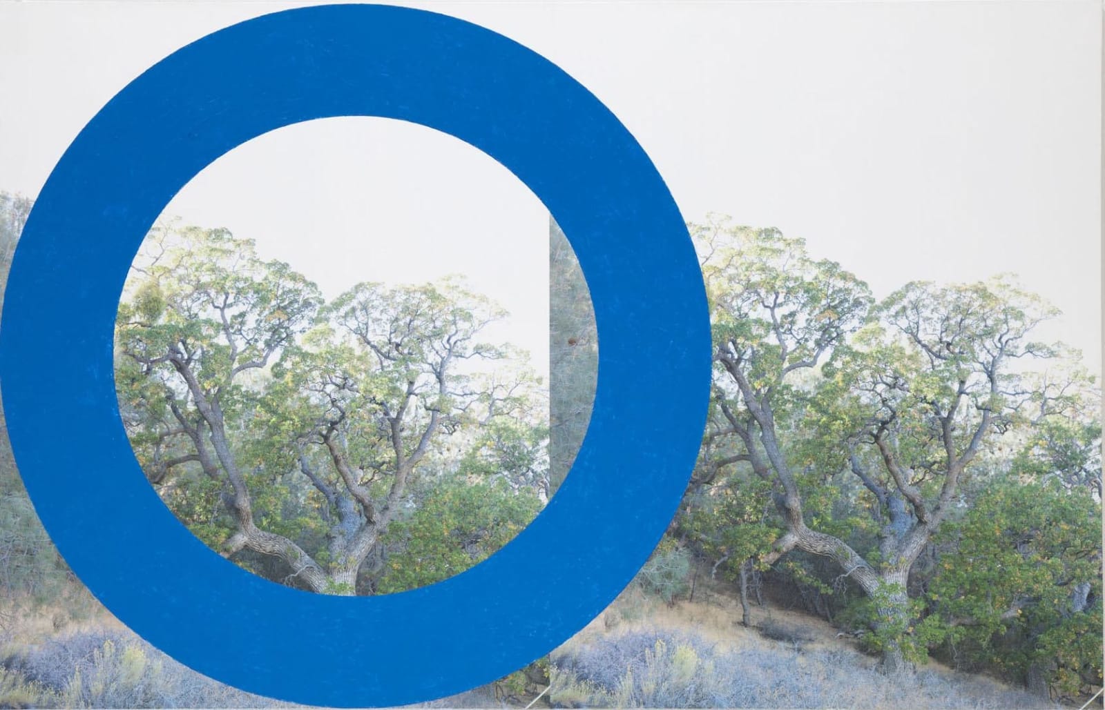 James Hyde, Blue, 2013