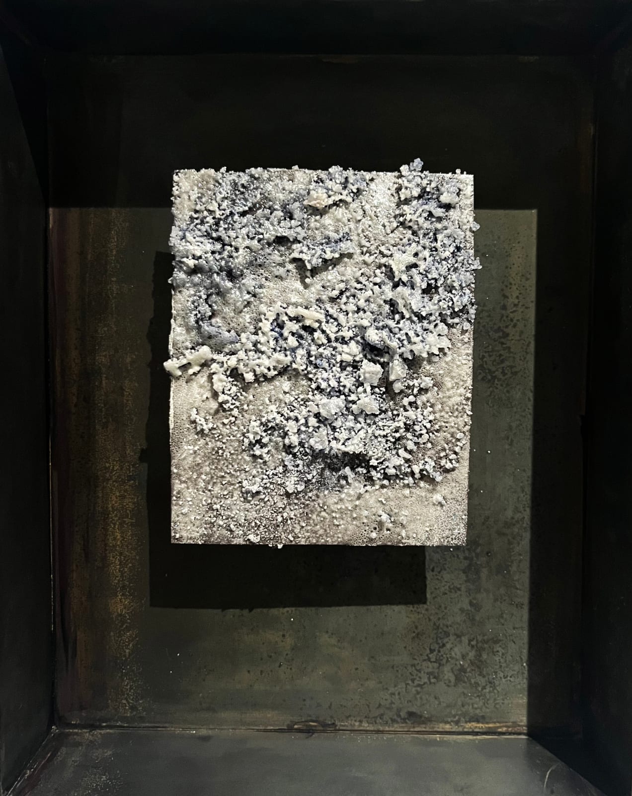 Laure Winants, Time Capsule #11, 2024