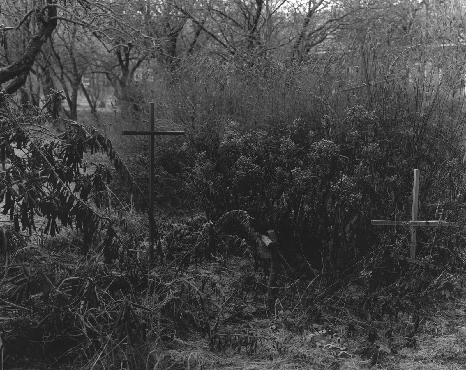 Nelli Palomäki, 27th of November (crosses), 2021