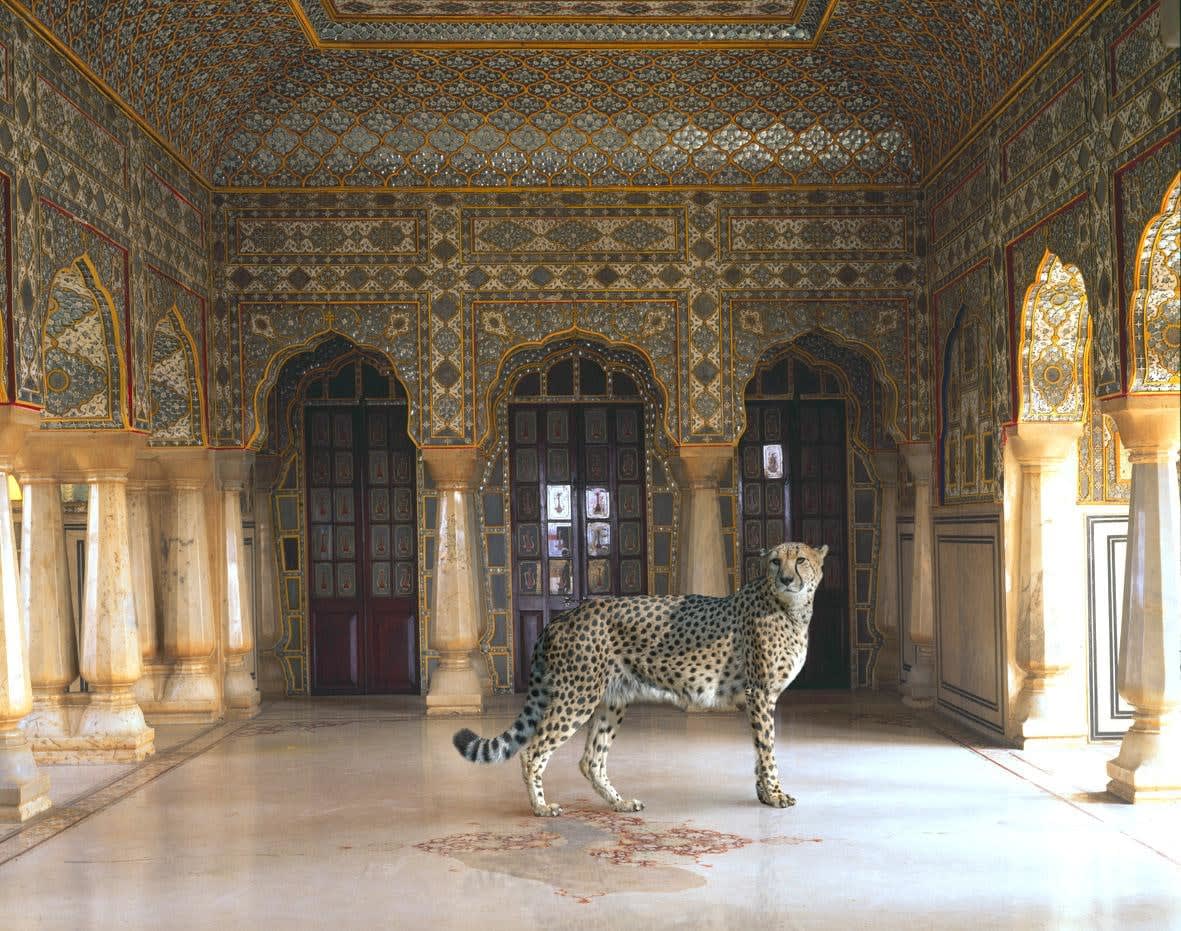 Karen Knorr, India Song, 030 The Return of the Hunter, Jaipur Palace, Jaipur, 2008-2014