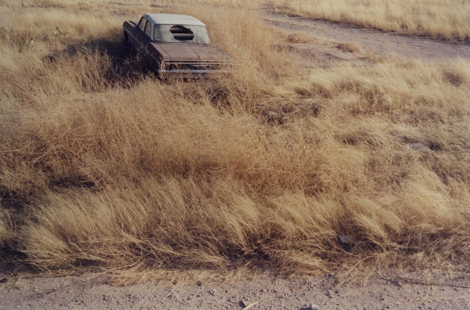 Matt Wilson, 001 Texas, 2011