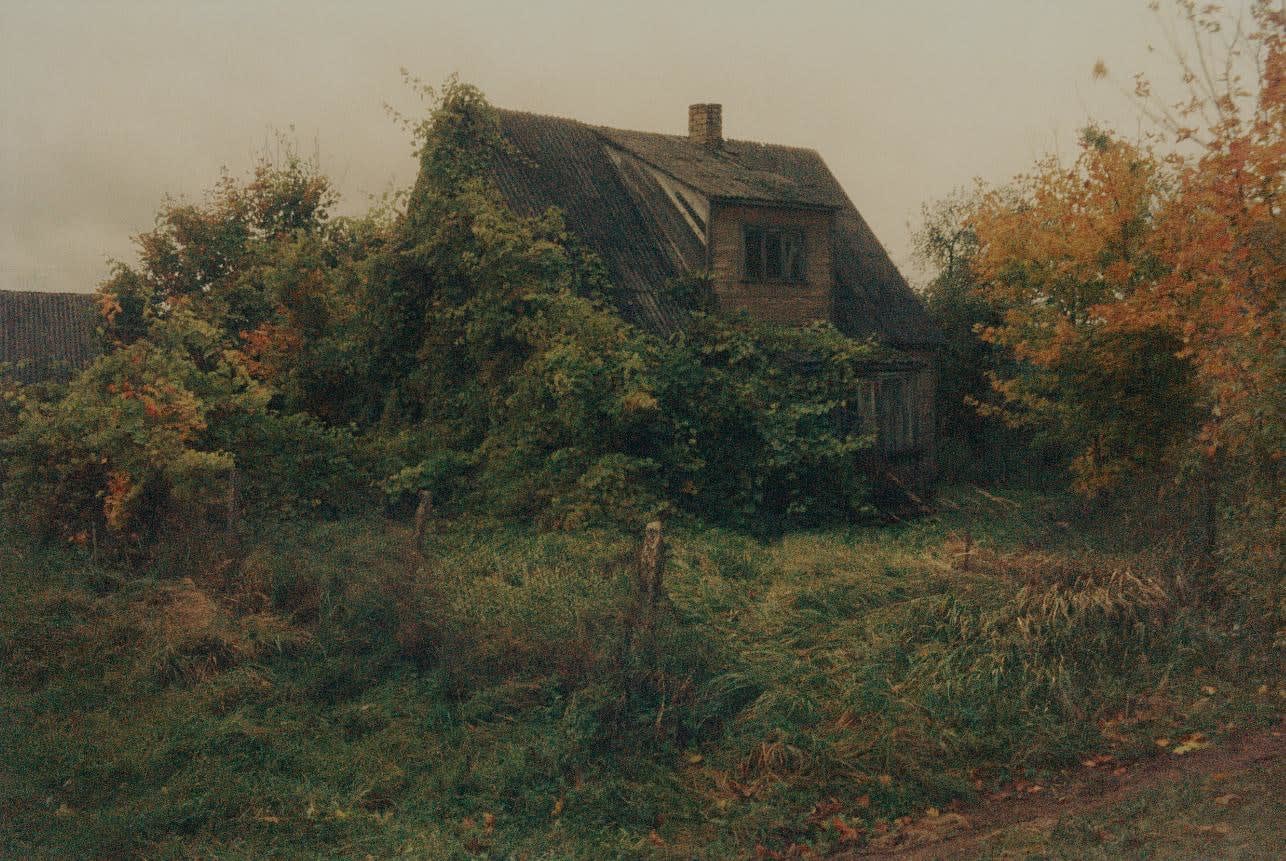 Matt Wilson, Sans titre 24, 2015-2020