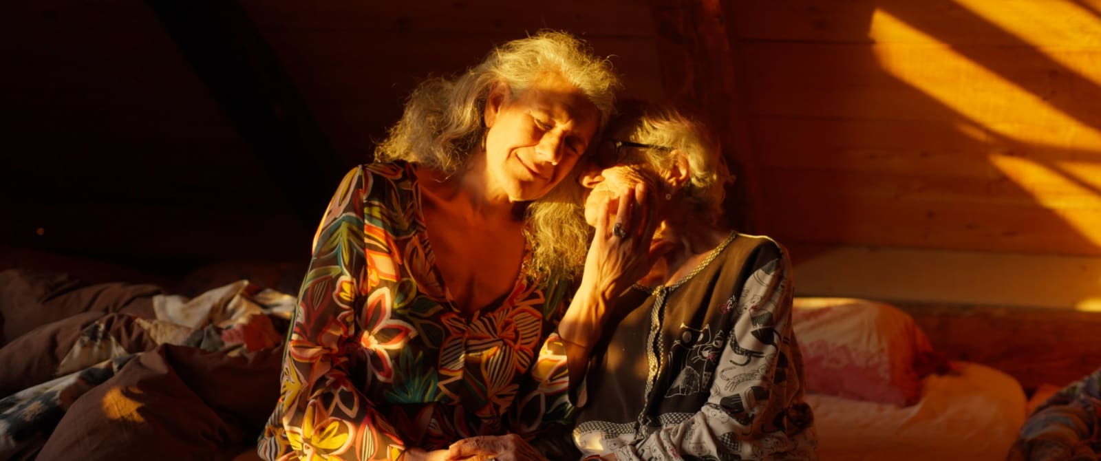 Zoé Bernardi, Les mots de la tribu, 2021-2025