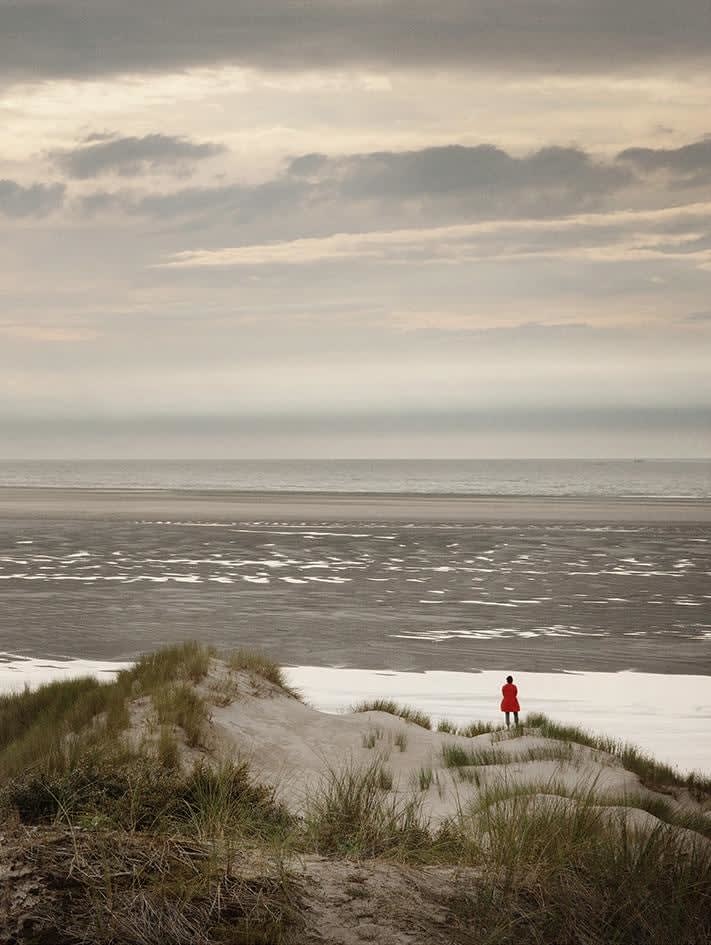 Ellen Kooi, Berck – dune, 2017