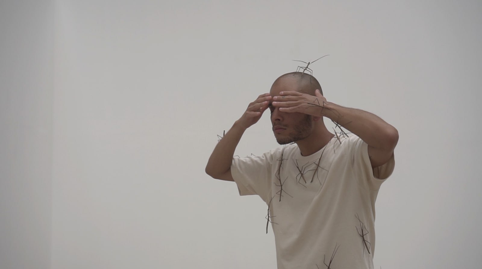 Felipe Vasquez, Film, 2024