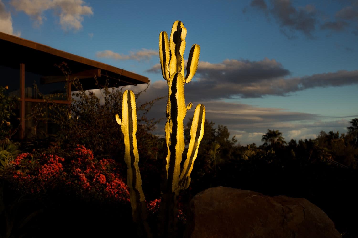 Diana Markosian, Eli’s House, Santa Barbara series, 2019