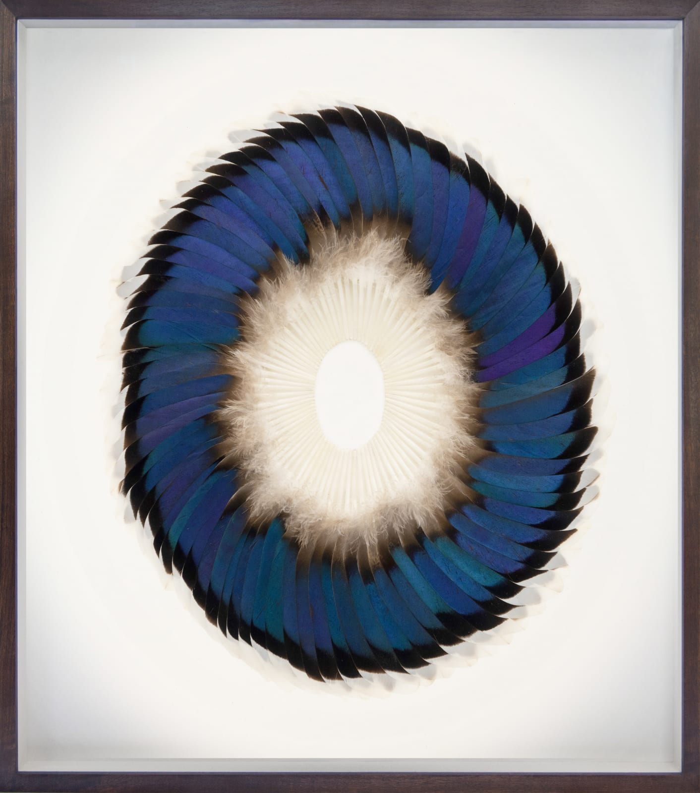 Kate MccGwire, SEPAL SPECULUM ELLIPSE I, 2025