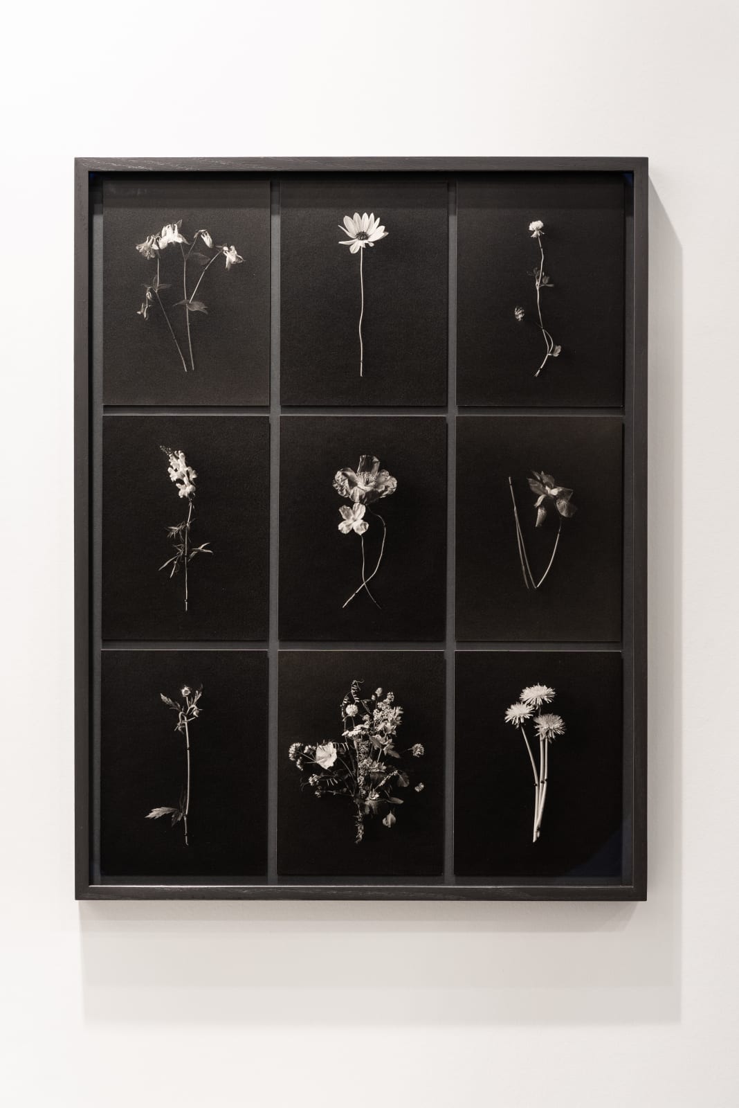 Nelli Palomäki, Gardenwork I , 2022