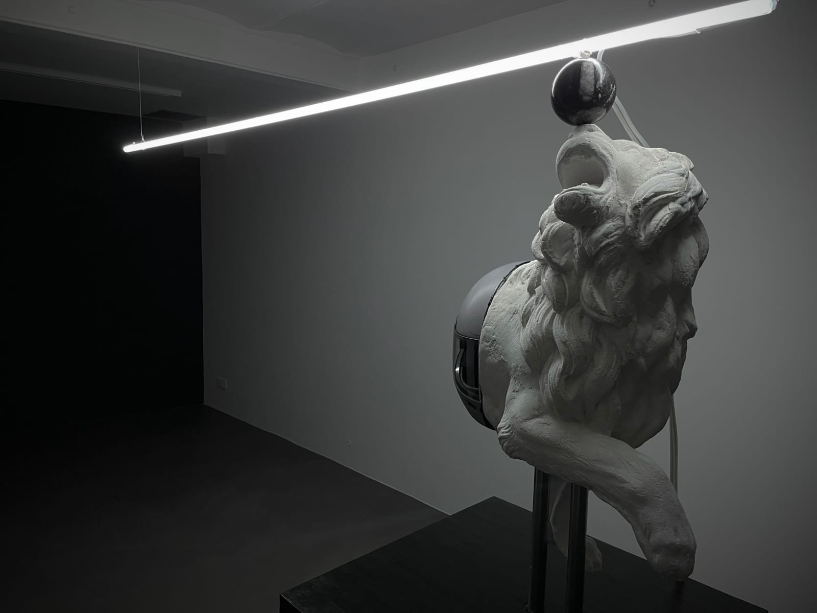 Léo Fourdrinier, Les yeux purs, 2023