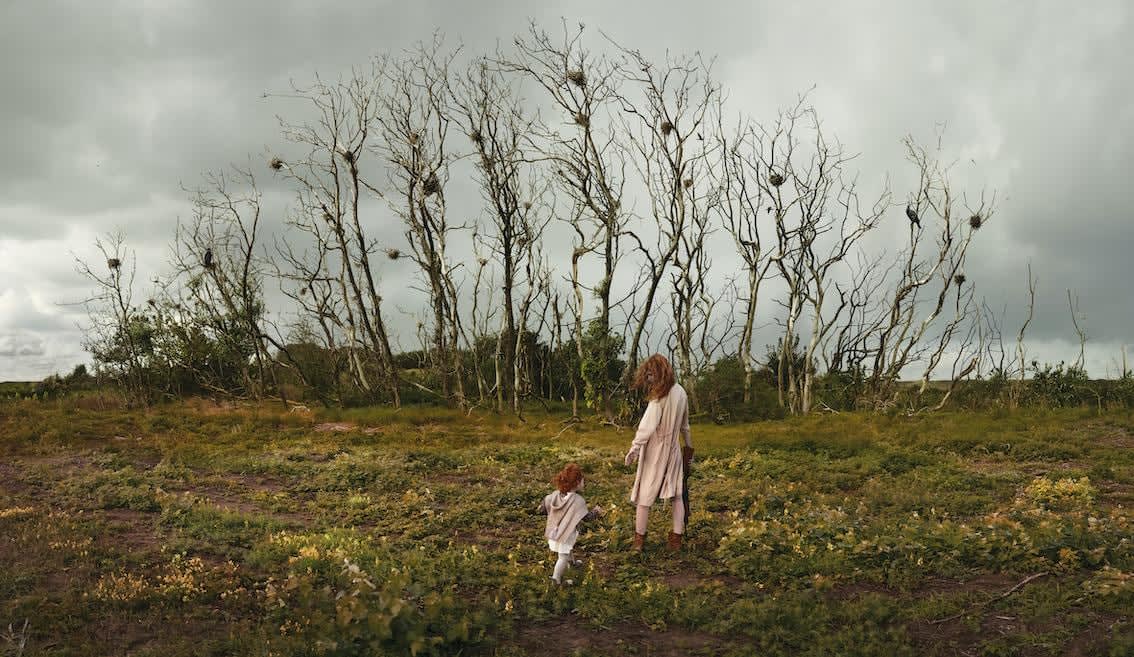 Ellen Kooi, Castricum - aalscholvers, 2018