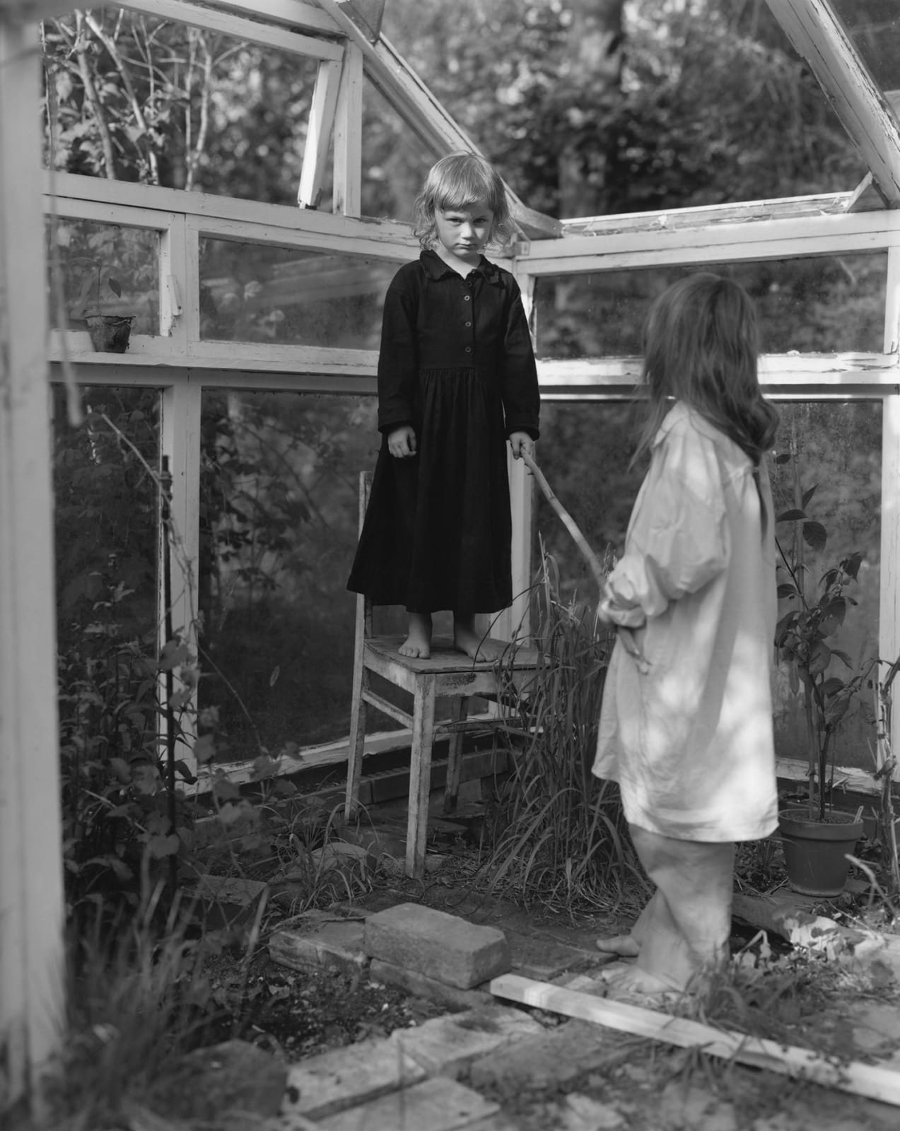 Nelli Palomäki, 7th of June (Ylva, Susi, shepherd), 2020