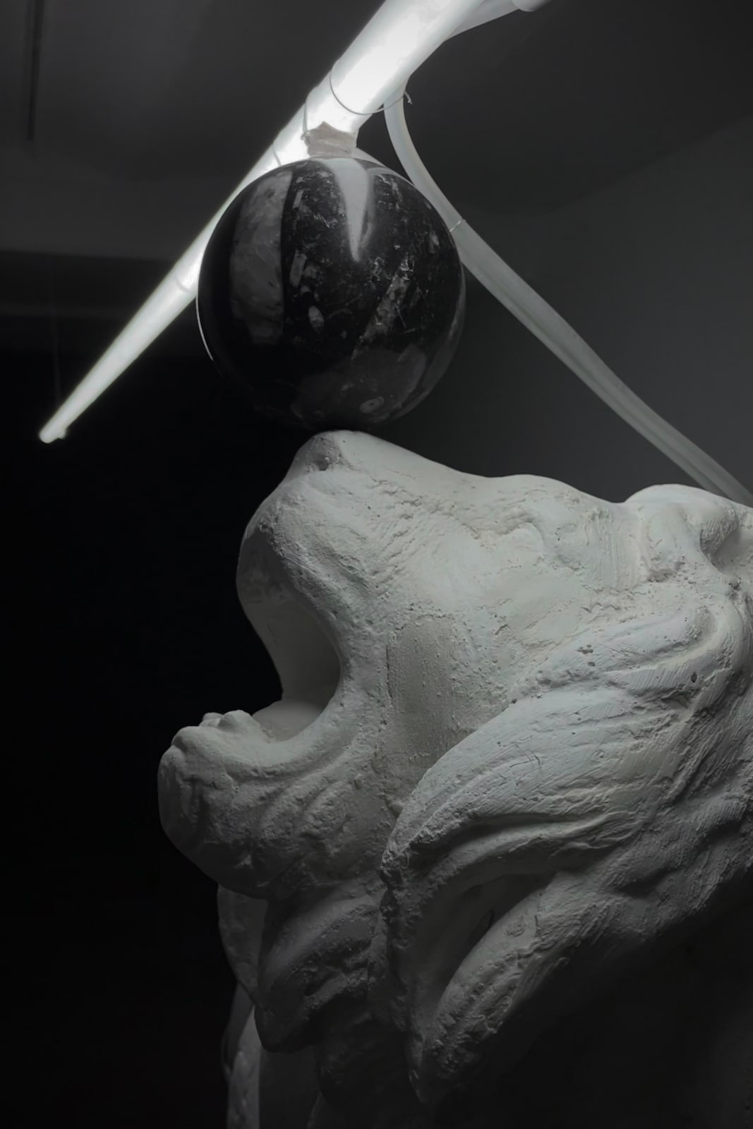 Léo Fourdrinier, Les yeux purs, 2023