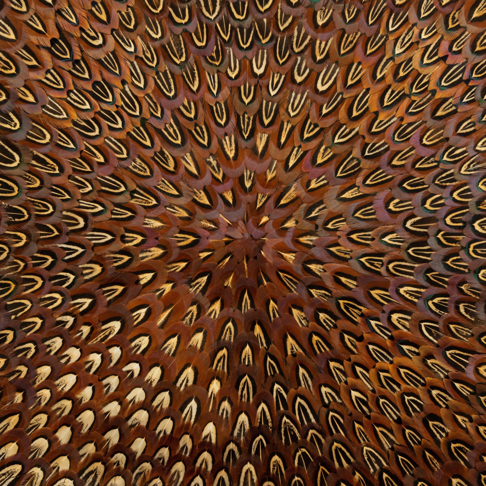 Kate MccGwire, BLISTER, 2024