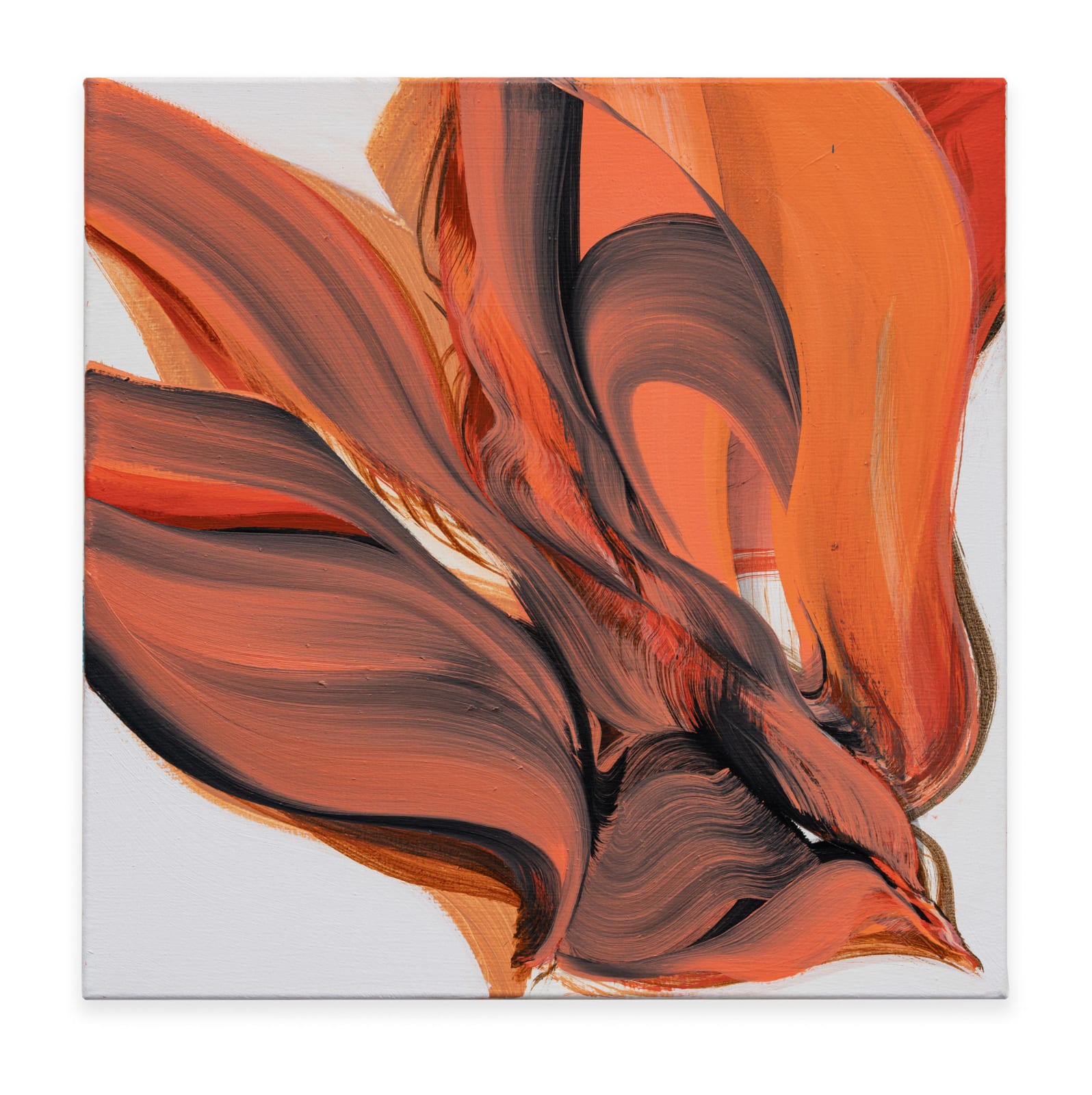 Janine van Oene, Untitled, 2024