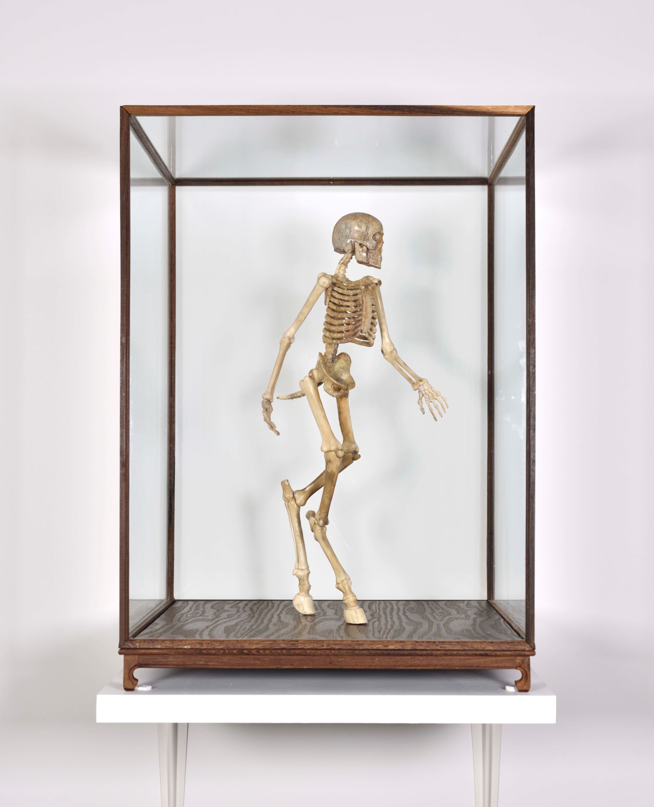 Art Orienté Objet, Je me suis vue, j'étais un centaure, 2015-2016