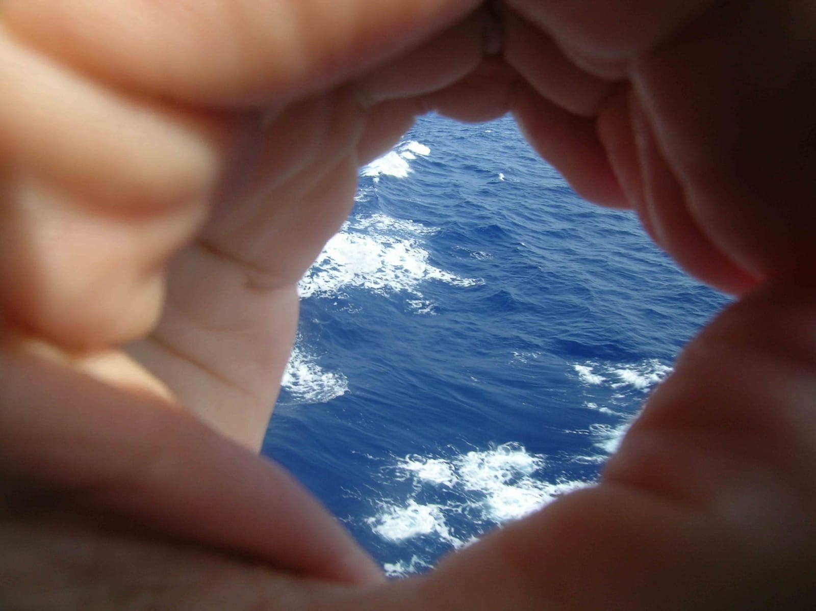 Thierry Fontaine, Une île de plus, 2003