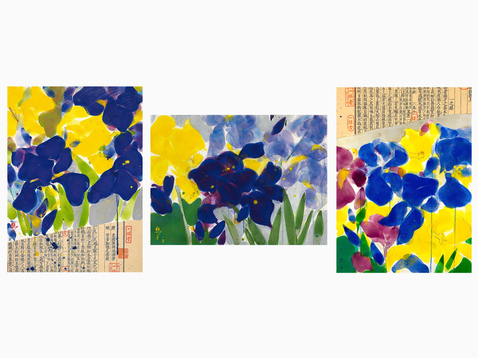 Teruko Yokoi, Iris II, I, III, 1982