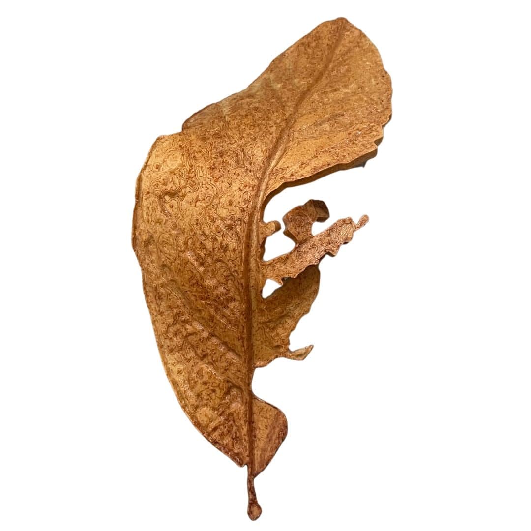 Sawsan Al Bahar, Untitled study for the Fall #03/90, 2023