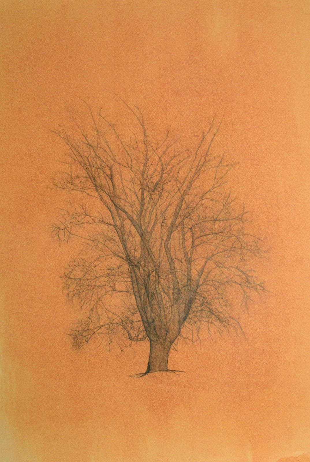 Sawsan Al Bahar, Untitled Tree, 2022