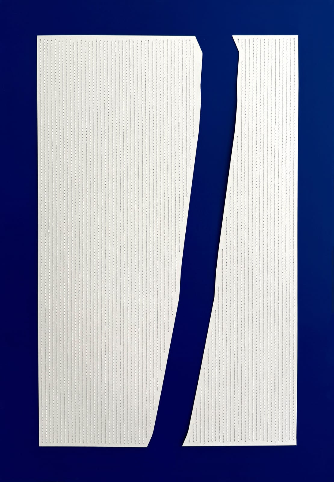 Mai Al Remeithi, Zayed The First, 2025