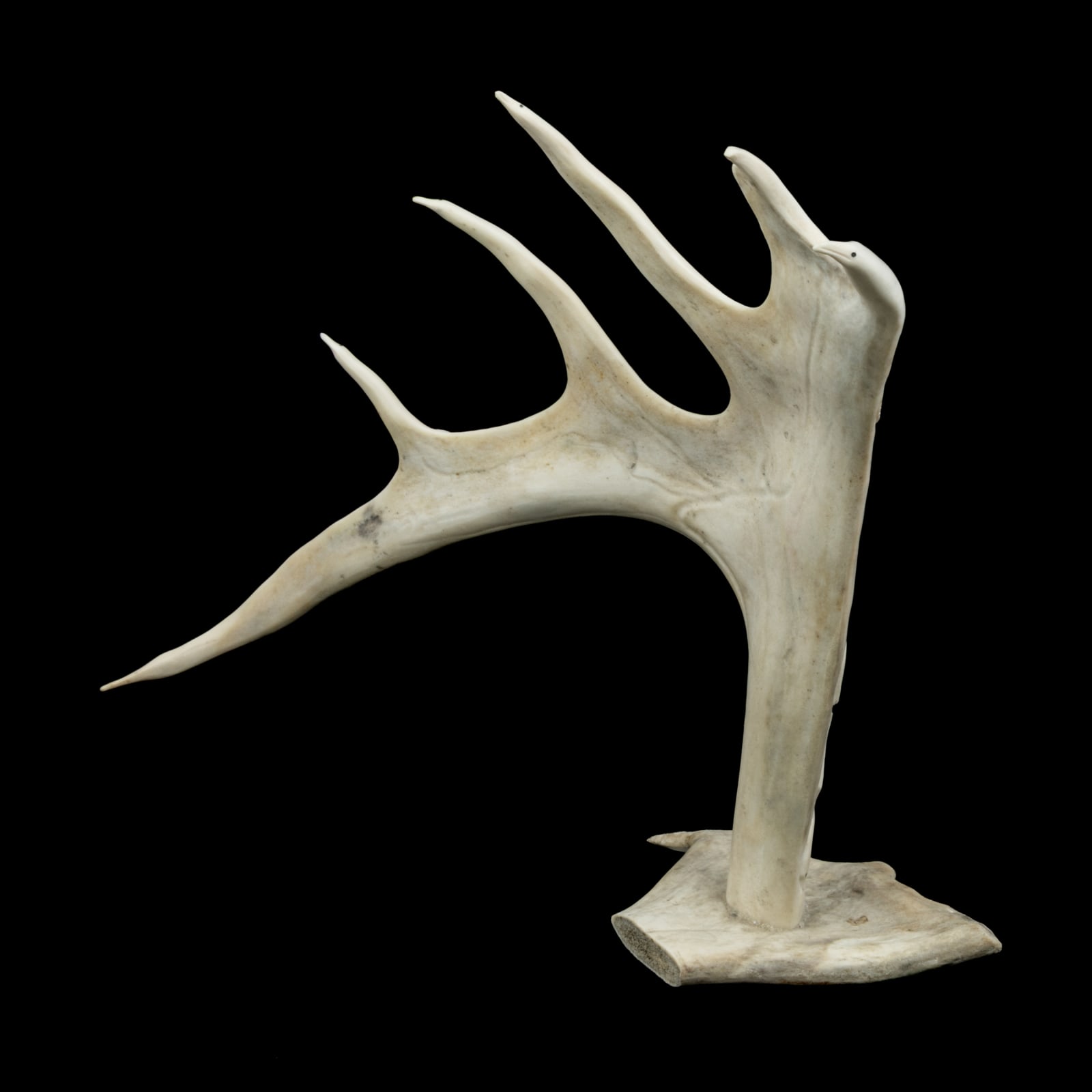 YASSIE DANIALEE KAKEE (1947-) IQALUIT (FROBISHER BAY), Still Flight (Birds in Relief on Antler), c. 1990s