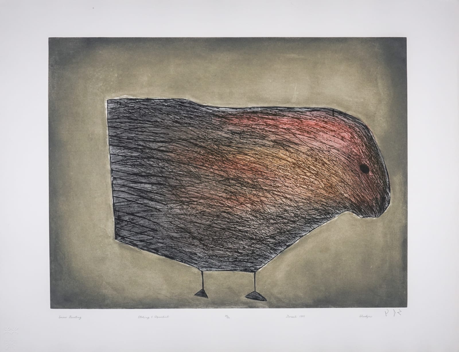 SHEOJUK ETIDLOOIE (1932-1999) KINNGAIT (CAPE DORSET), Snow Bunting, 1999 #30