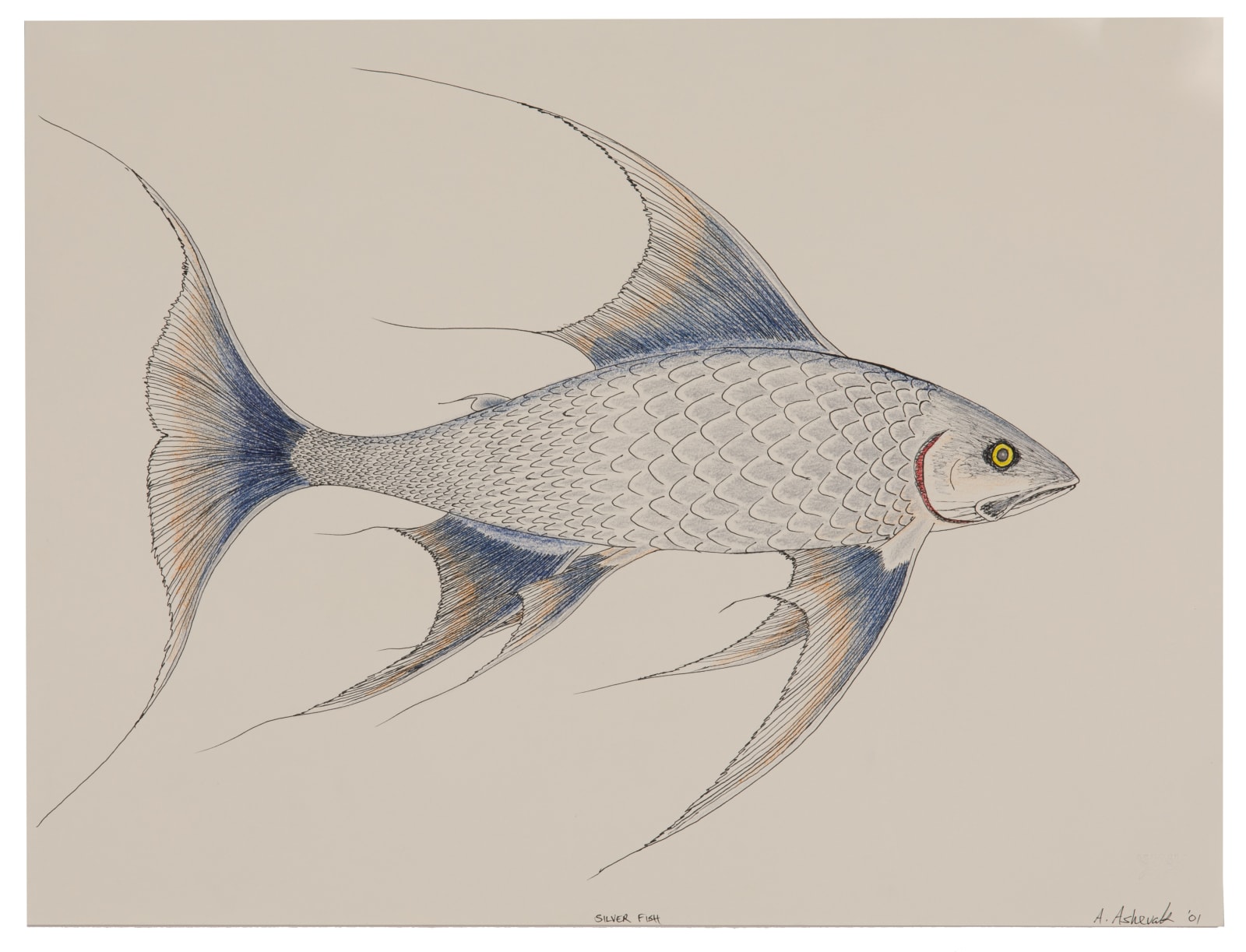 ARNAQU ASHEVAK (1956-2009) KINNGAIT (CAPE DORSET), Silver Fish, 2001/2002