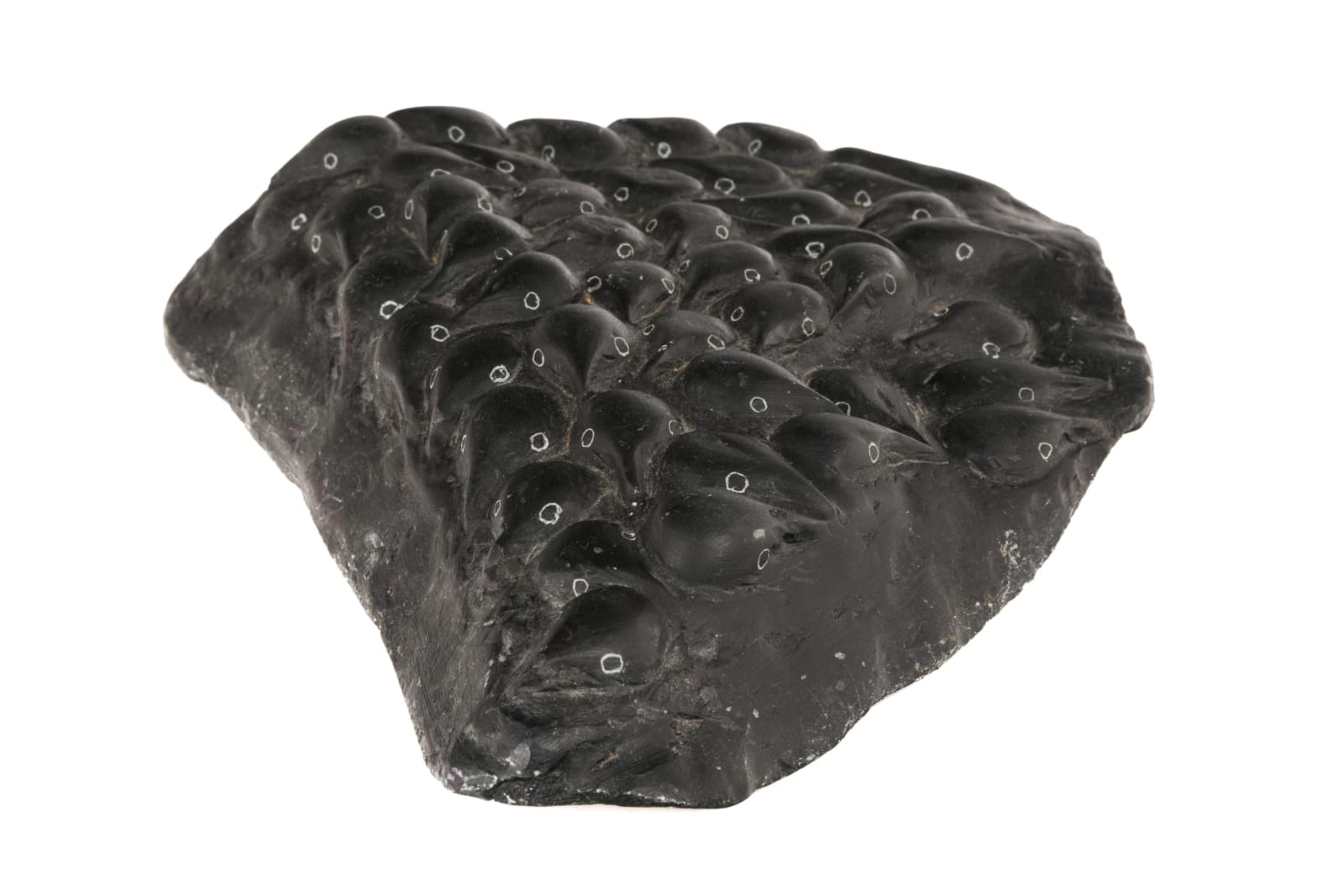 MIRIAM NANURLUQ QIYUK (1933-2016) QAMANI'TUAQ (BAKER LAKE), Crowded Rookery, mid-1980s