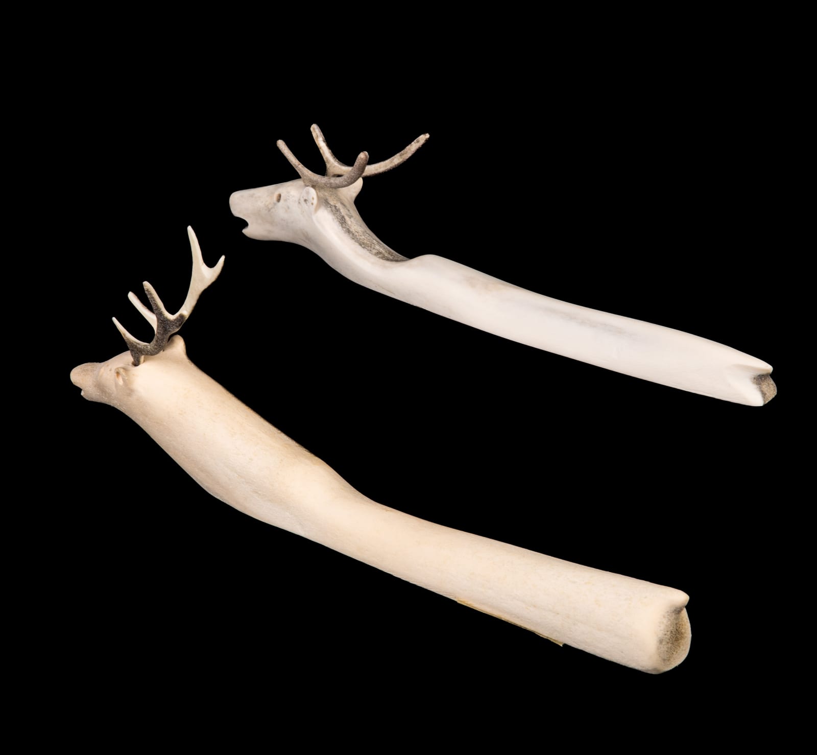 JACOB IRKOK (1937-2009) ARVIAT (ESKIMO POINT), Pair of Swimming Caribou, 2000s