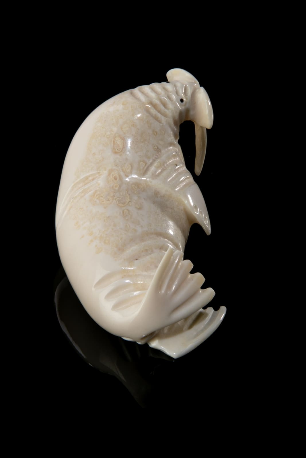 A.H.S., Probably YU'PIK, Lounging Walrus