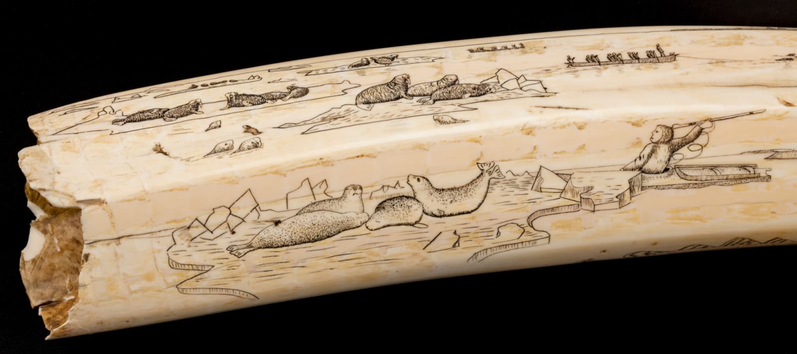 JOE KAKARAVJOOK, ALASKA, Engraved Walrus Tusk, 1899