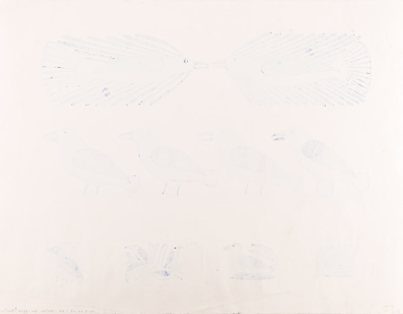 KENOJUAK ASHEVAK, C.C., R.C.A. (1927-2013) KINNGAIT (CAPE DORSET), Four Drawing Studies, 2003/04