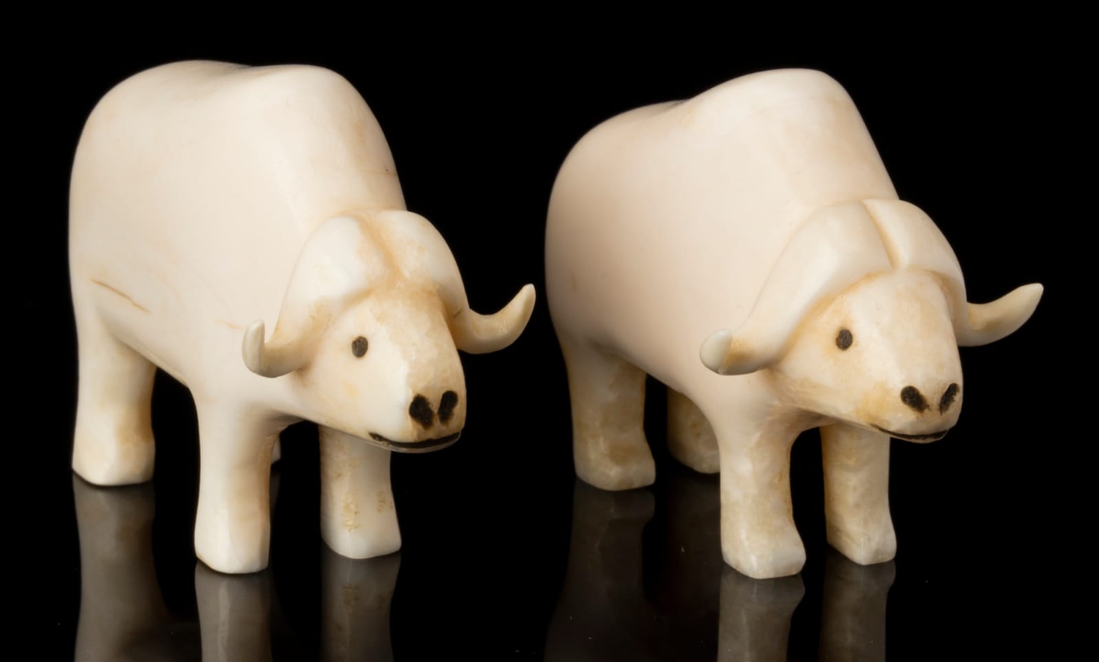 UNIDENTIFIED INUIT ARTIST, CENTRAL CANADIAN ARCTIC, Two Ivory Muskoxen, c. early to mid 1950s