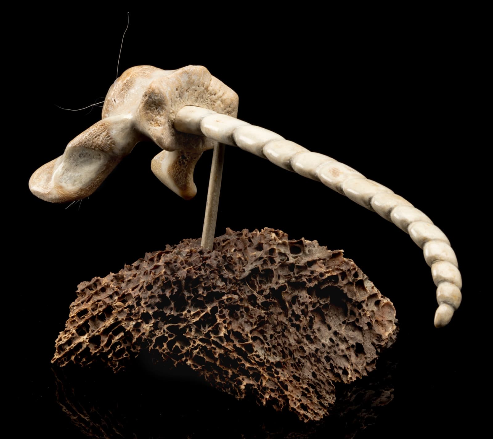 NICK SIKKUARK (1943-2013) KUGAARUK (PELLY BAY) / UQSUQTUUQ (GJOA HAVEN), Ice Worm Spirit, 1997