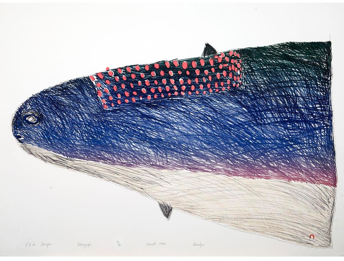 SHEOJUK ETIDLOOIE (1932-1999) KINNGAIT (CAPE DORSET), Isugar (Lake Trout), 1998 #21