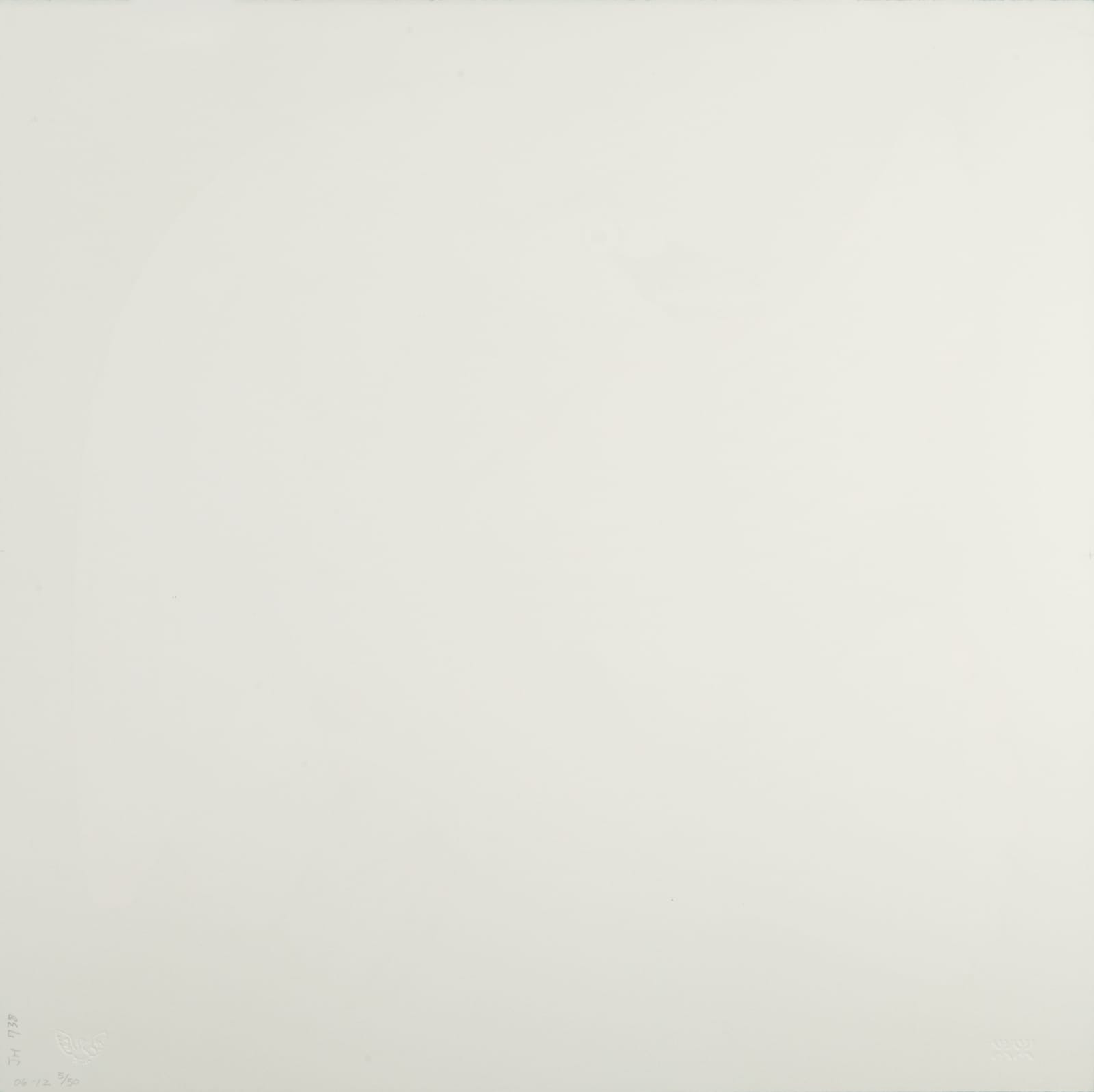 KENOJUAK ASHEVAK, C.C., R.C.A. (1927-2013) KINNGAIT (CAPE DORSET), Golden Goose, 2006 #12