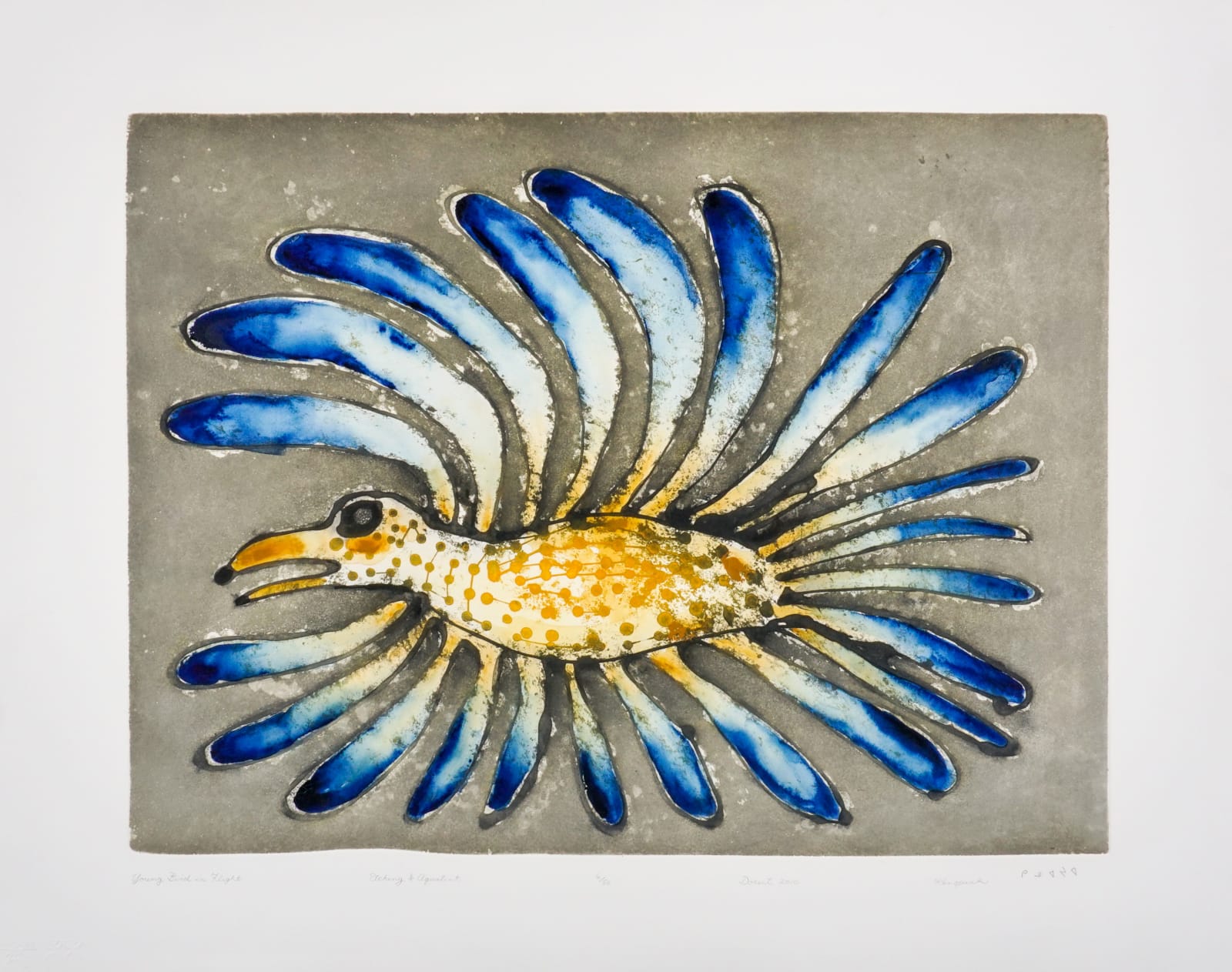 KENOJUAK ASHEVAK, C.C., R.C.A. (1927-2013) KINNGAIT (CAPE DORSET), Young Bird in Flight, 2010