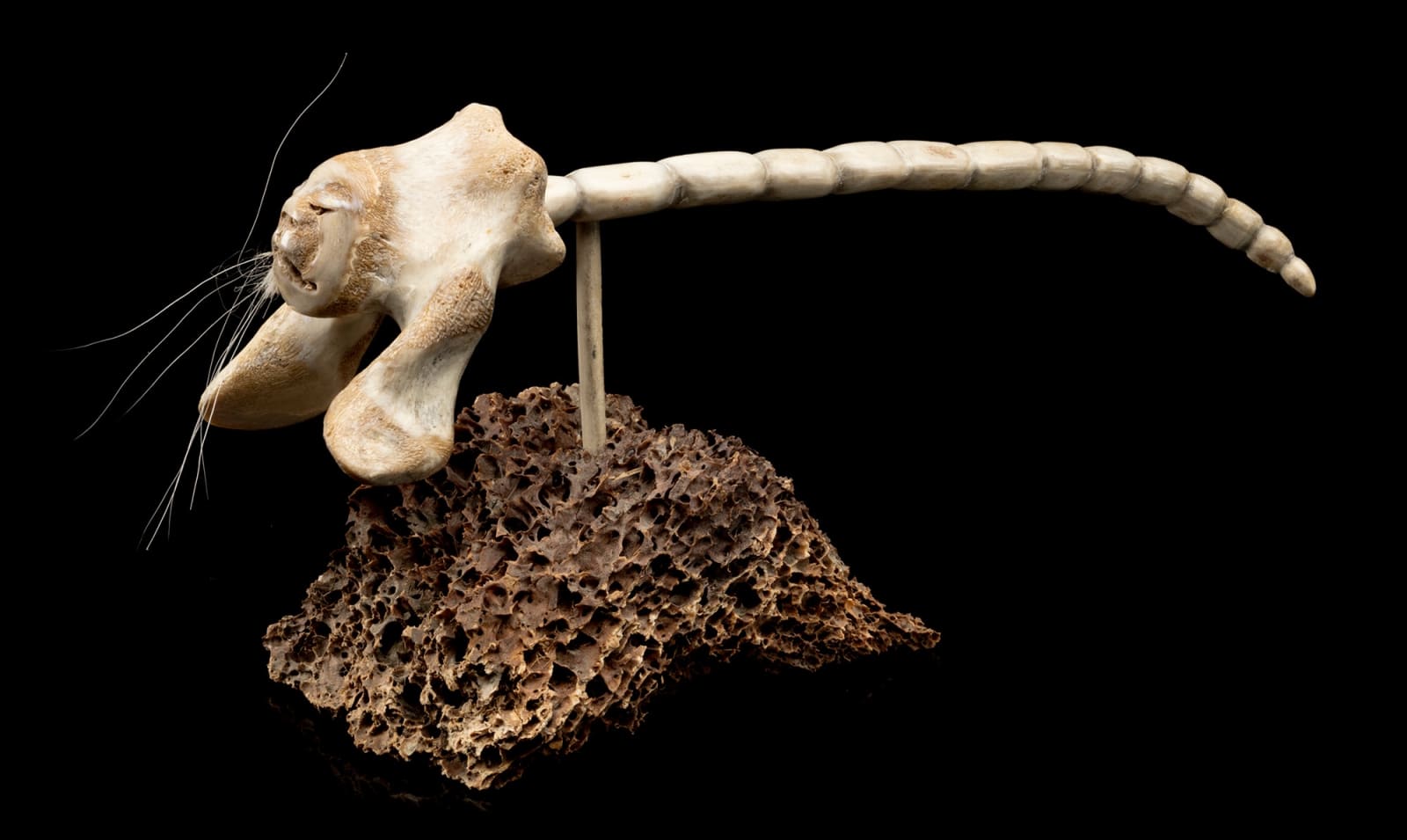 NICK SIKKUARK (1943-2013) KUGAARUK (PELLY BAY) / UQSUQTUUQ (GJOA HAVEN), Ice Worm Spirit, 1997