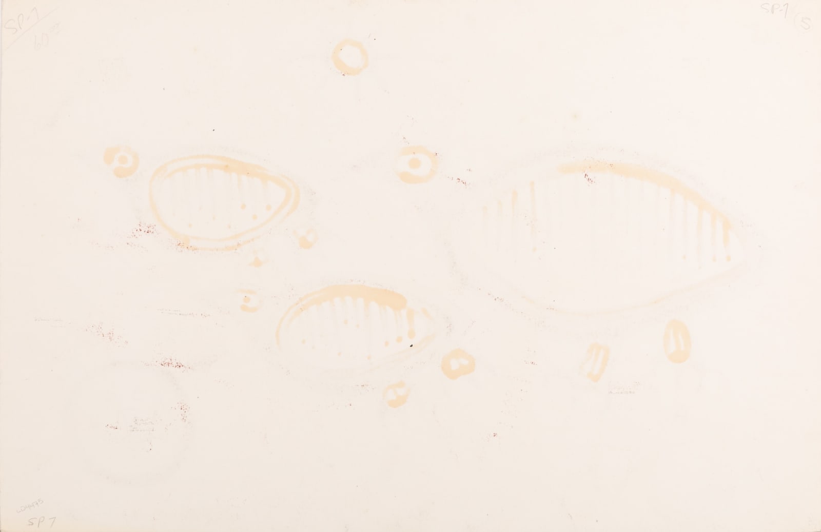 NORVAL MORRISSEAU, C.M. (1931-2007) ANISHINAABE (OJIBWE), Mother Bird with Young, c. 1962