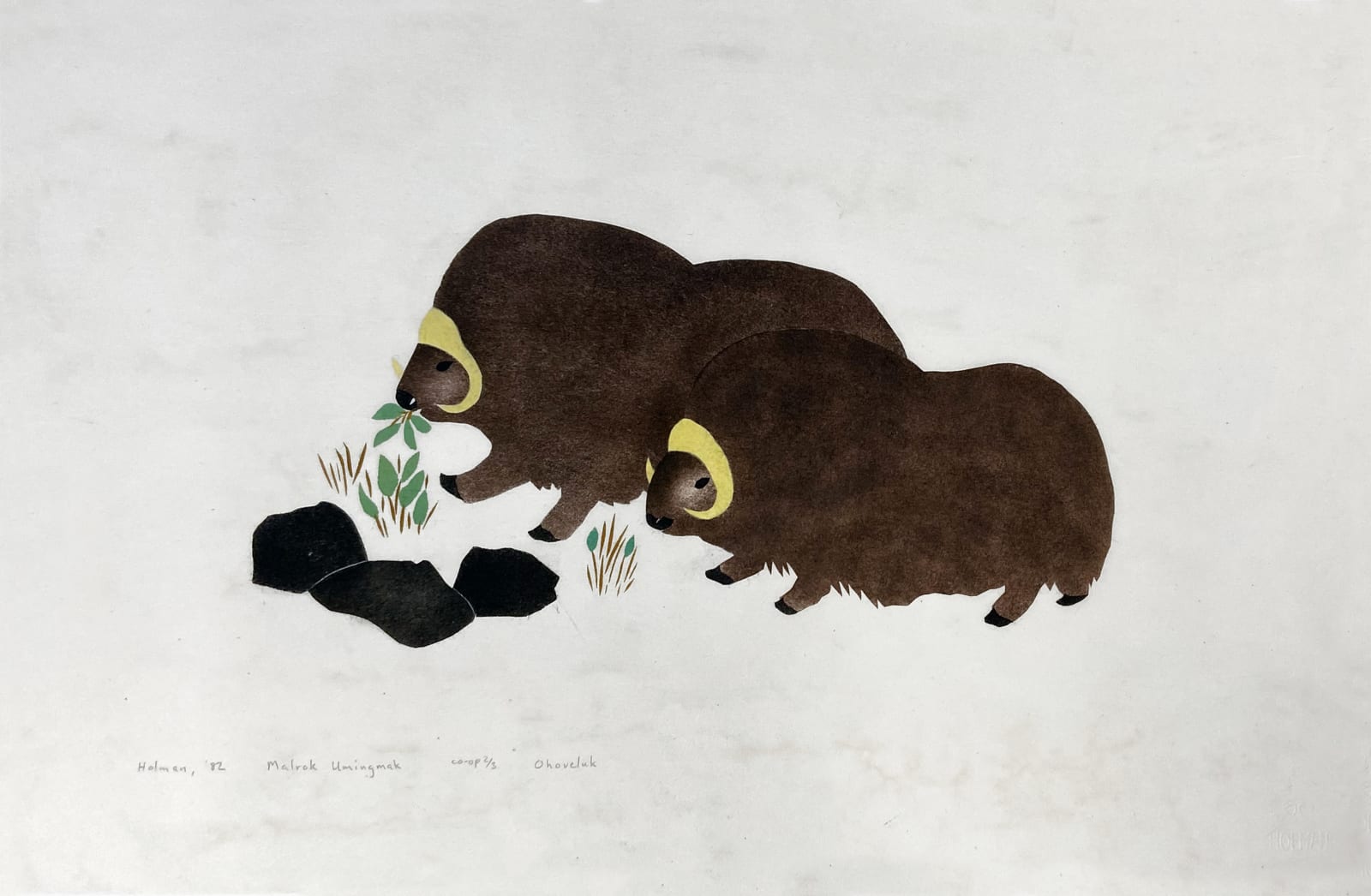 MONA OHOVELUK KUNEYUNA (1935-1992) ULUKHAKTOK (HOLMAN), Malrok Umingmak, 1982 (1993 #8)
