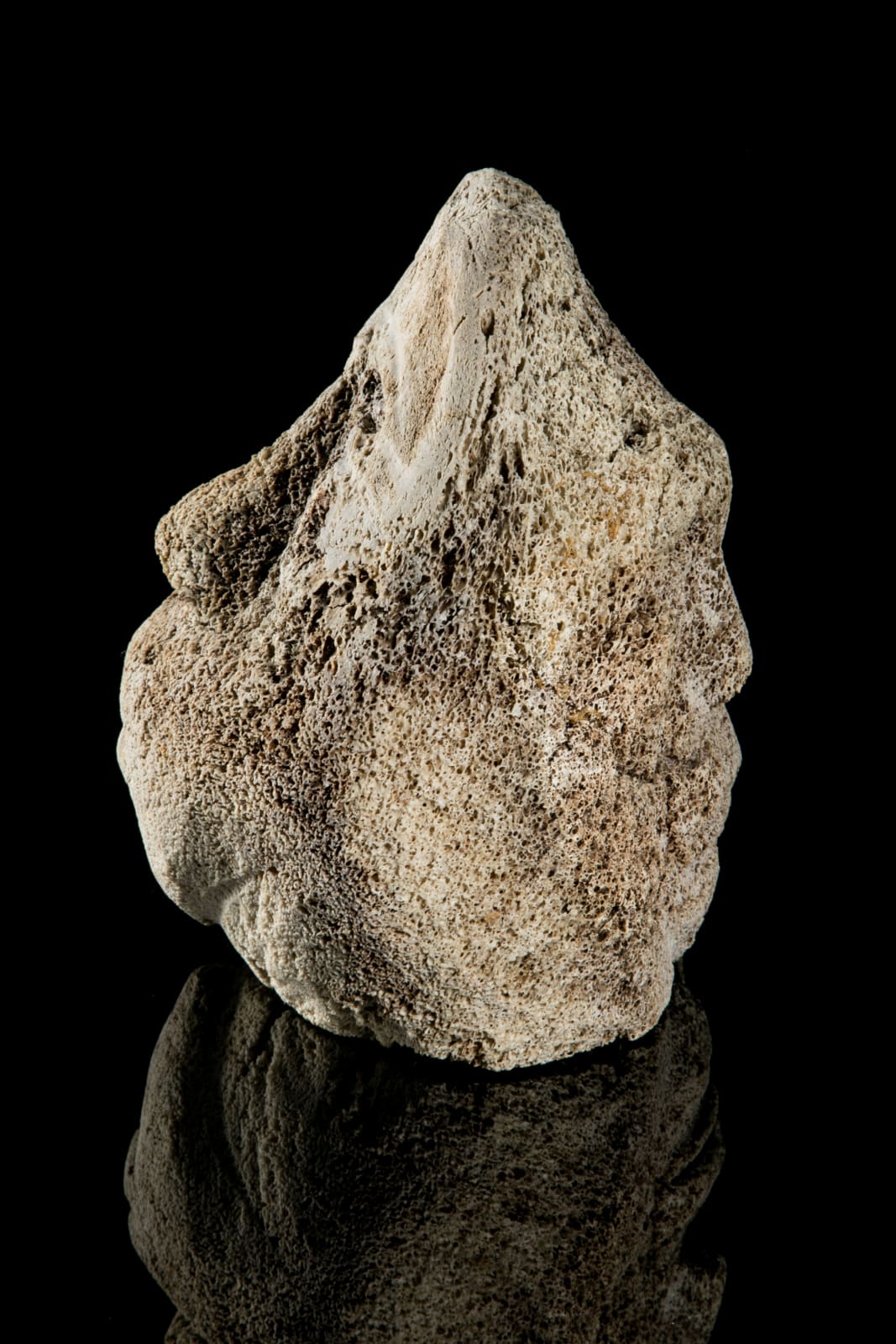UNIDENTIFIED ARTIST, QIKIQTAALUK (BAFFIN), Janus Faced Head, 1970s