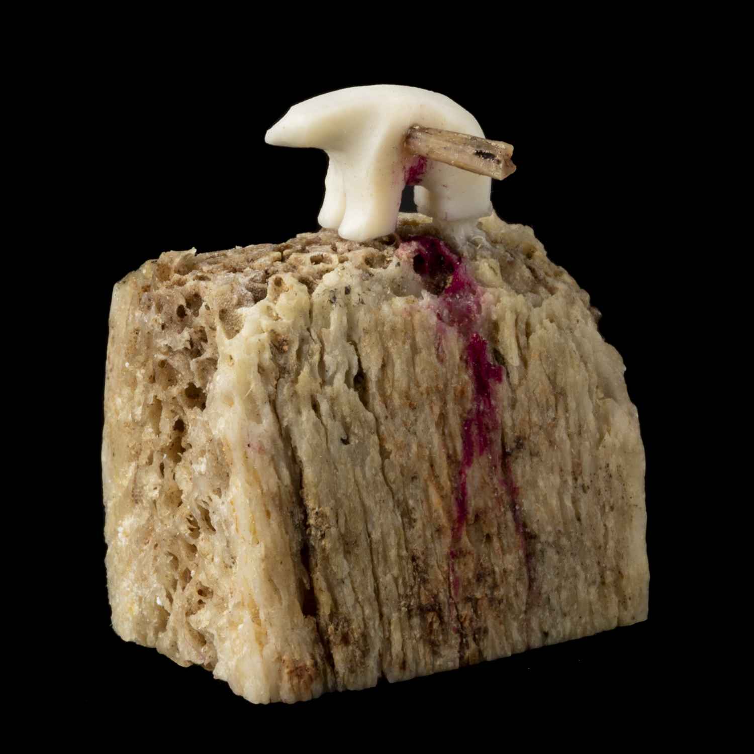 UNIDENTIFIED ARTIST, PLACE OF ORIGIN UNKNOWN, Bear Effigy (Ritually killed Polar Bear), date unknown