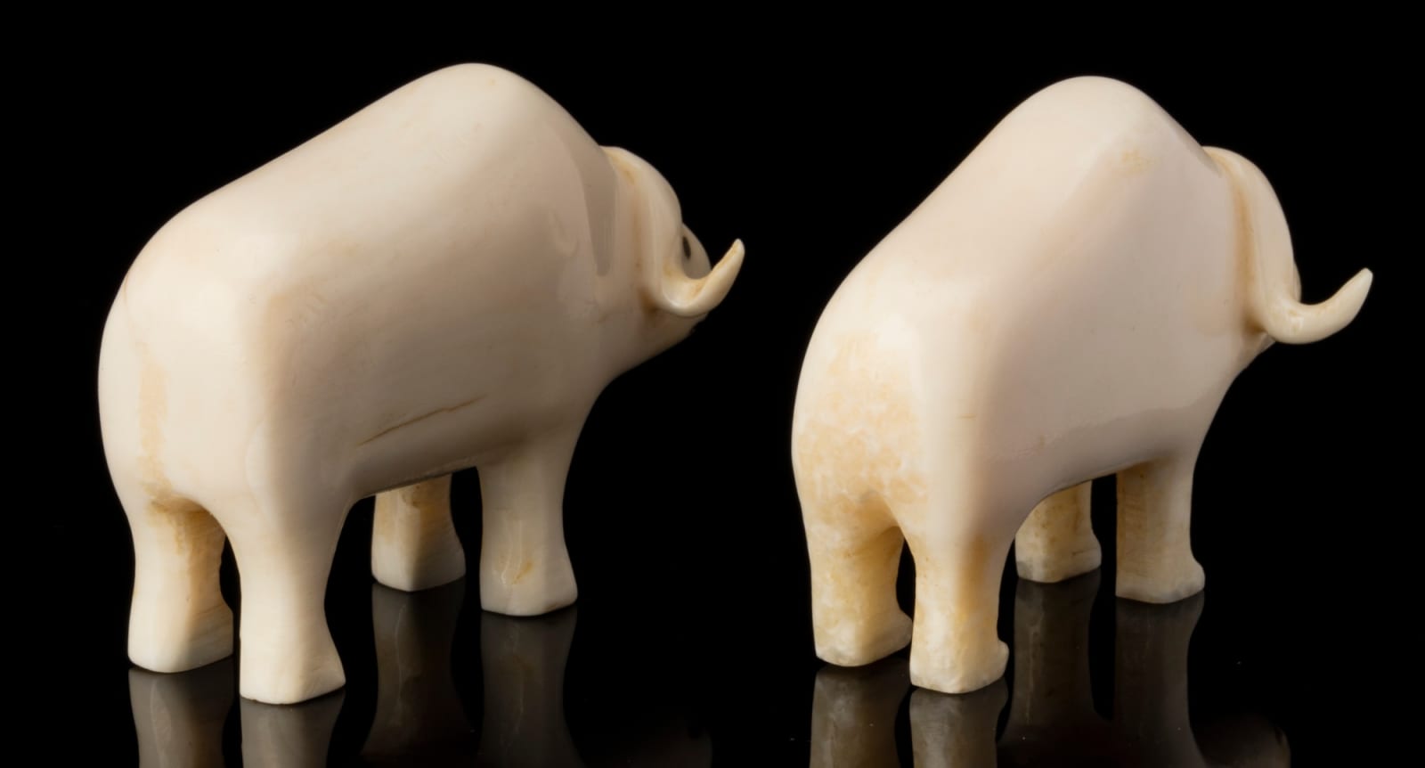 UNIDENTIFIED INUIT ARTIST, CENTRAL CANADIAN ARCTIC, Two Ivory Muskoxen, c. early to mid 1950s