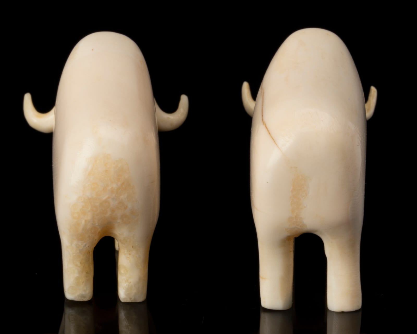 UNIDENTIFIED INUIT ARTIST, CENTRAL CANADIAN ARCTIC, Two Ivory Muskoxen, c. early to mid 1950s