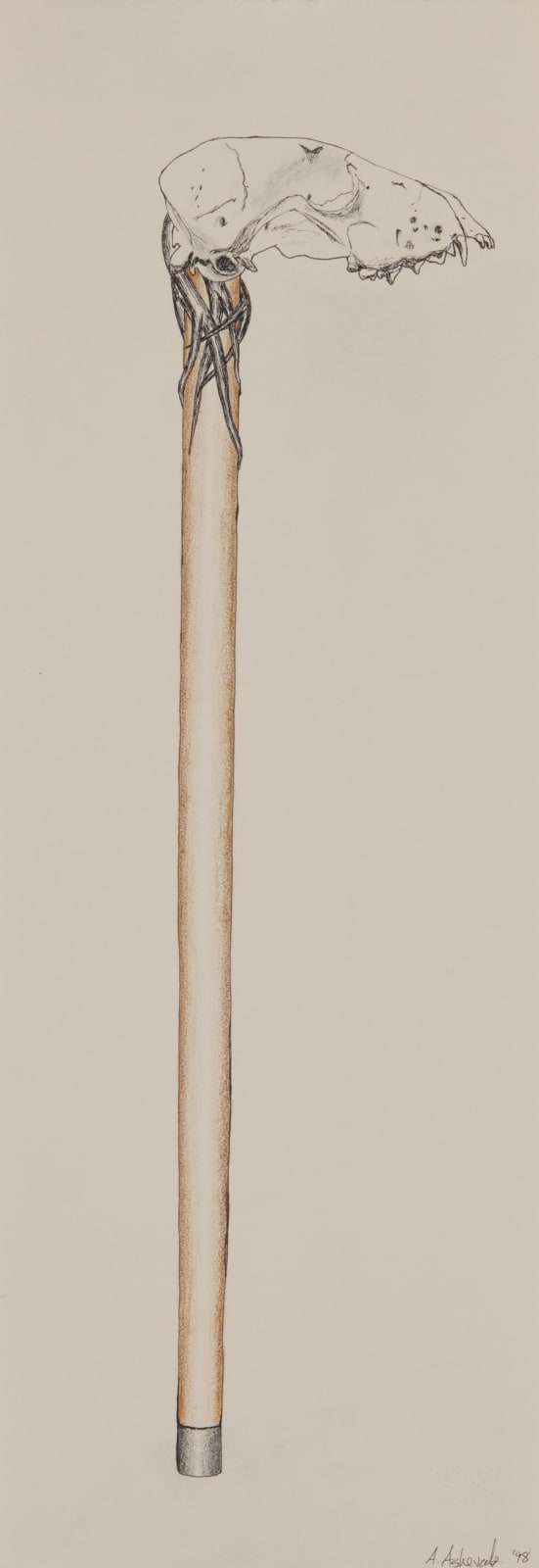ARNAQU ASHEVAK (1956-2009) KINNGAIT (CAPE DORSET), Cane, 1998