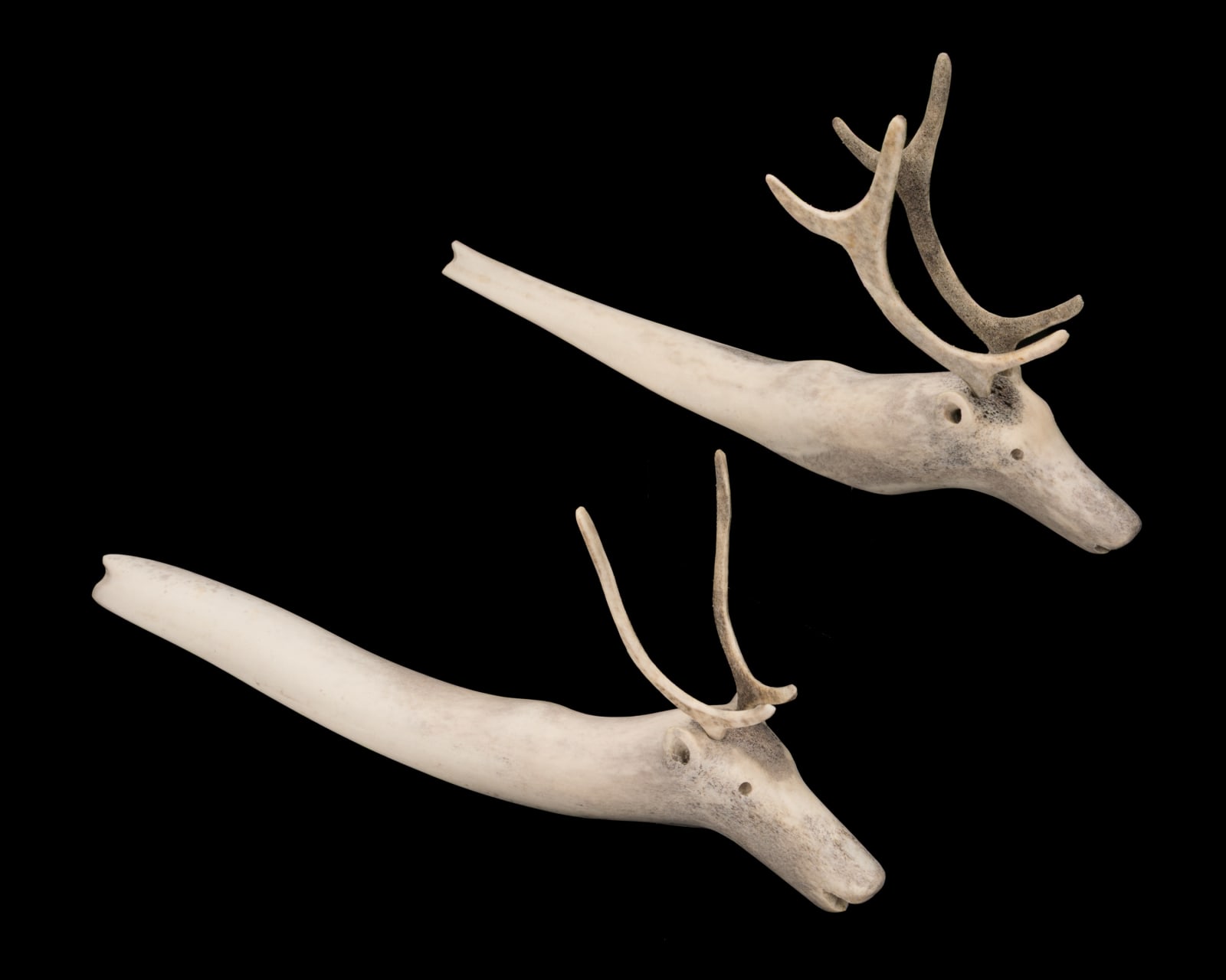 JACOB IRKOK (1937-2009) ARVIAT (ESKIMO POINT), Pair of Swimming Caribou, 2000s