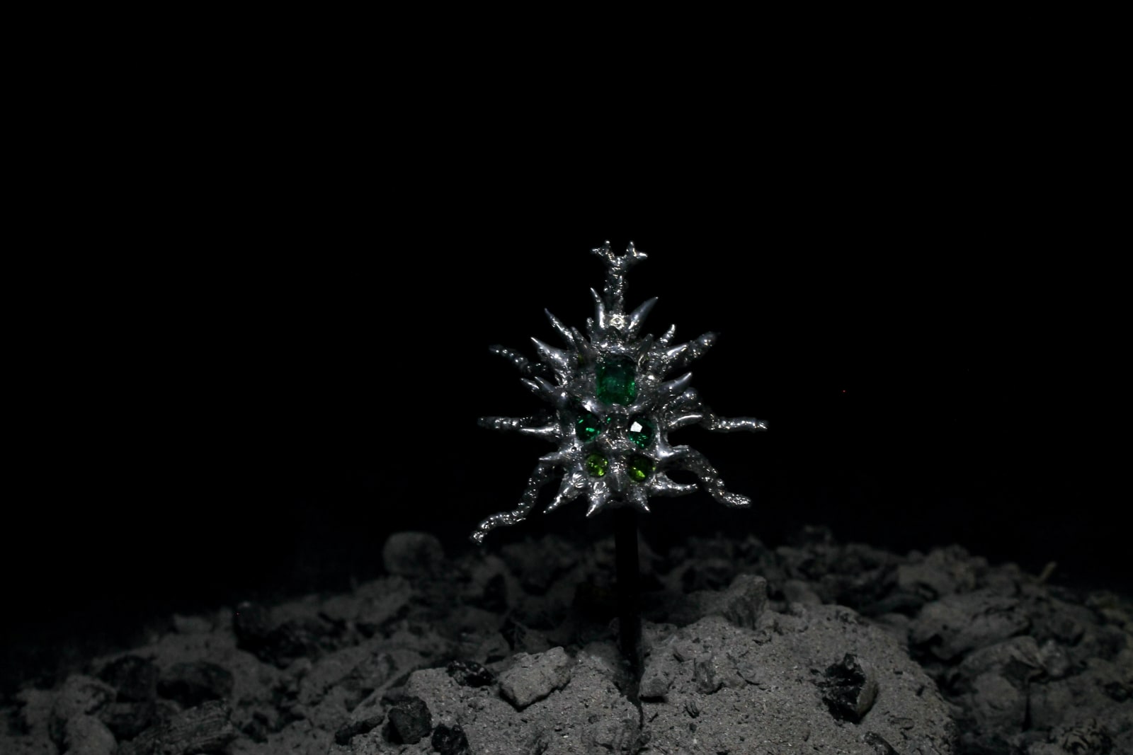 Elsa Wagnières, Coleoptera Terbiumidae 5 - Vert, 2024-2025