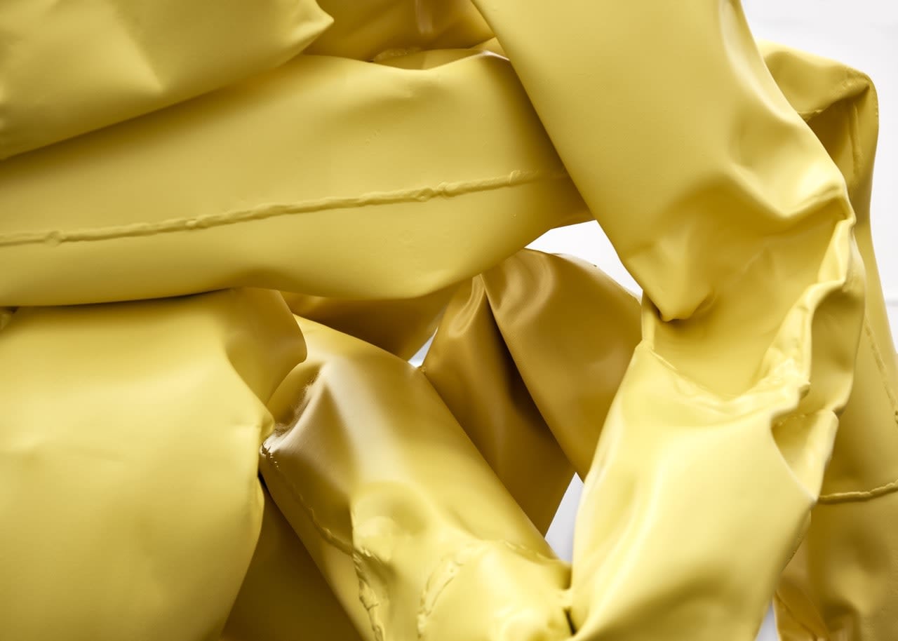 Anna Fasshauer, Mystery Twist, 2023