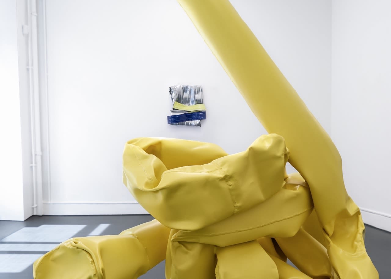 Anna Fasshauer, Mystery Twist, 2023